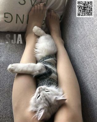 麻豆映画传媒在哪里看_超清韩国电影在线观看